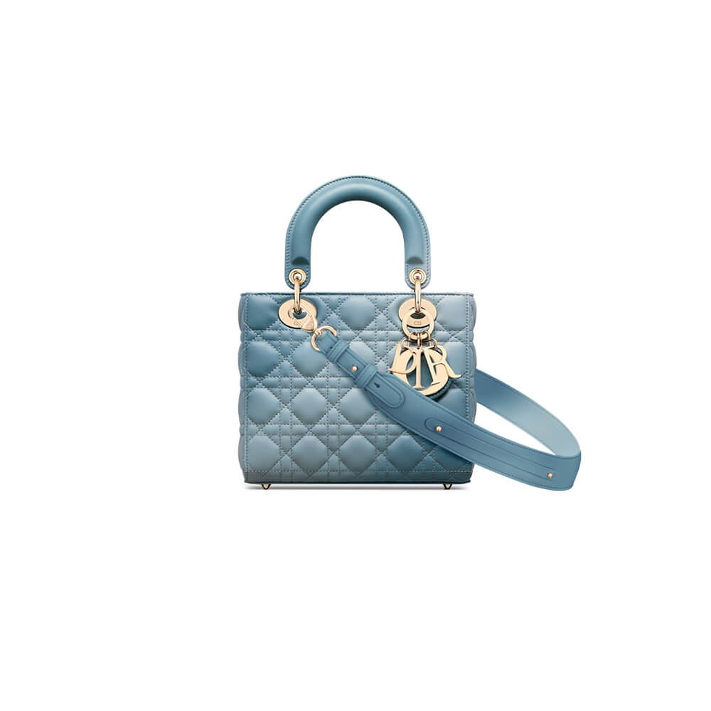 small lady D*or my abcD*or bag