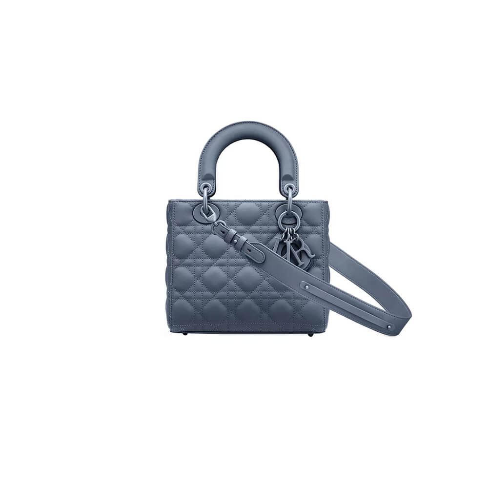 small lady D*or my abcD*or bag