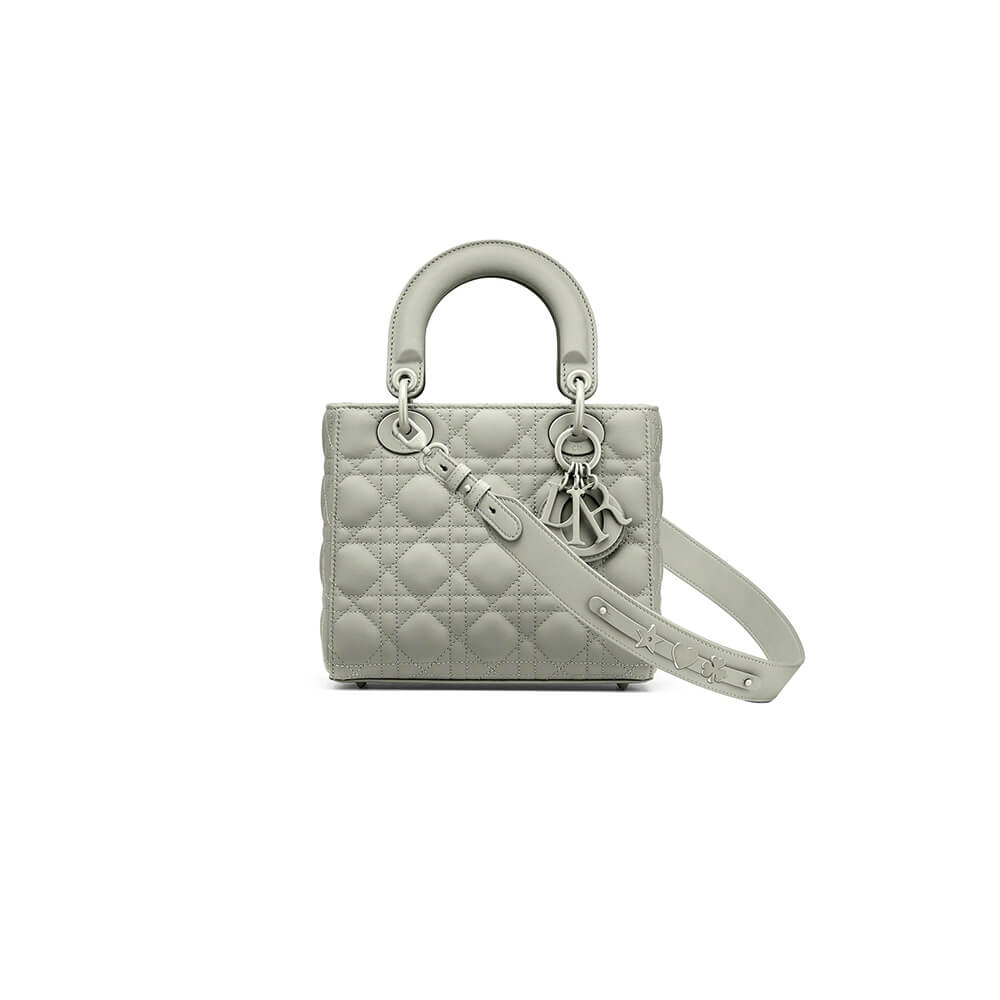 small lady D*or my abcD*or bag