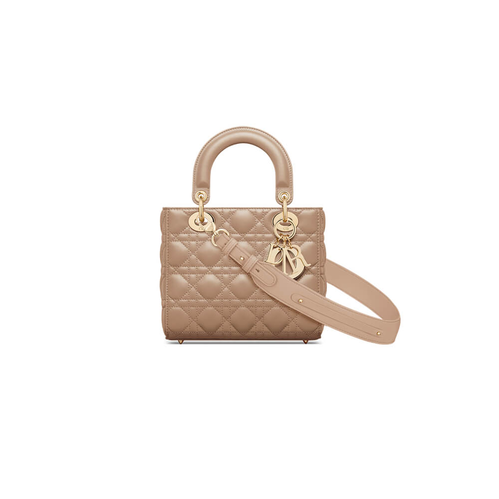 small lady D*or my abcD*or bag