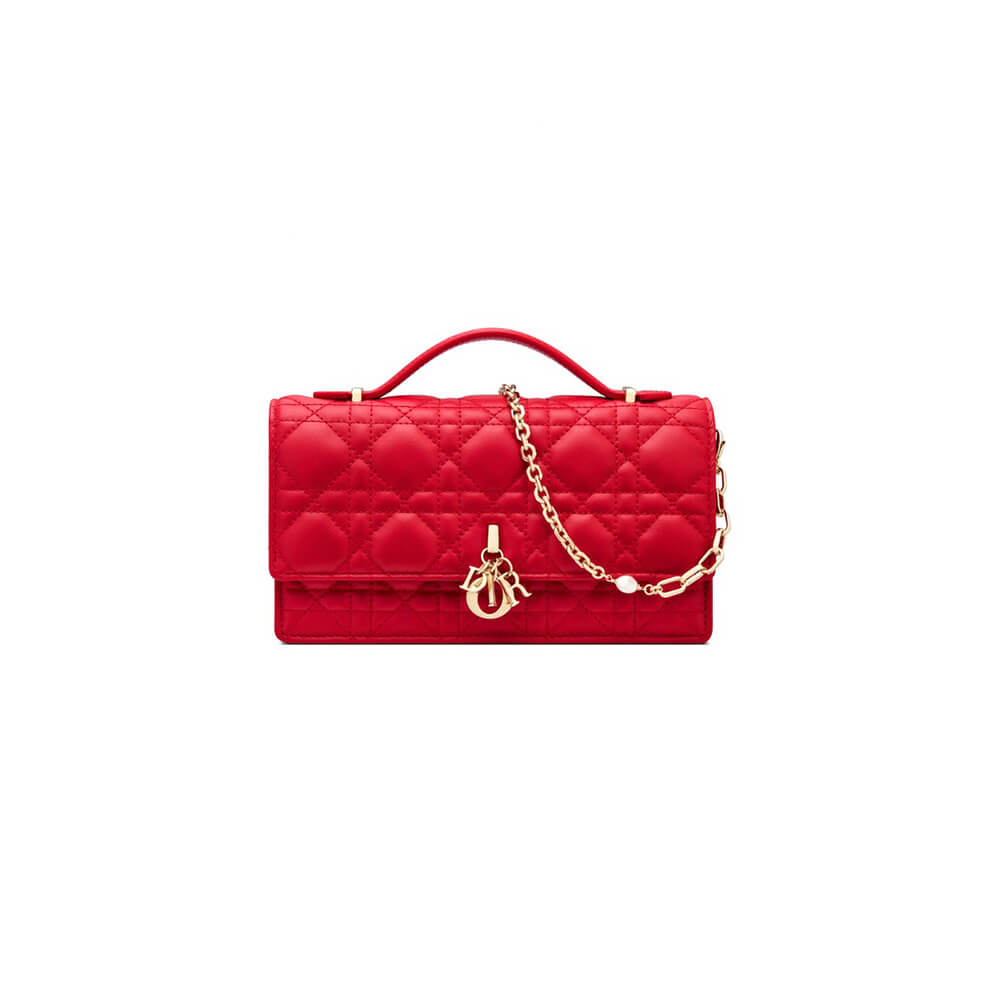 miss D*or mini bag