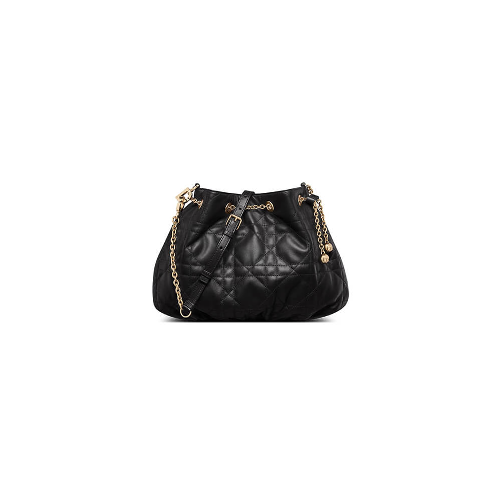 medium D*or ammi bag