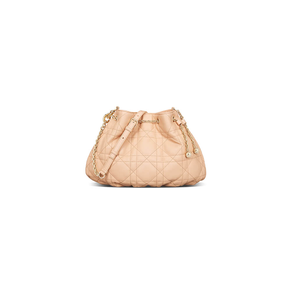 medium D*or ammi bag