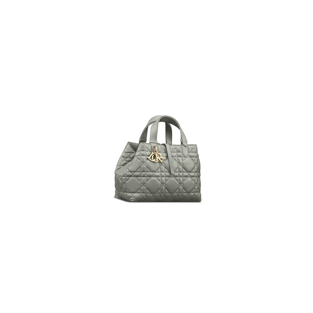small D*or toujours bag