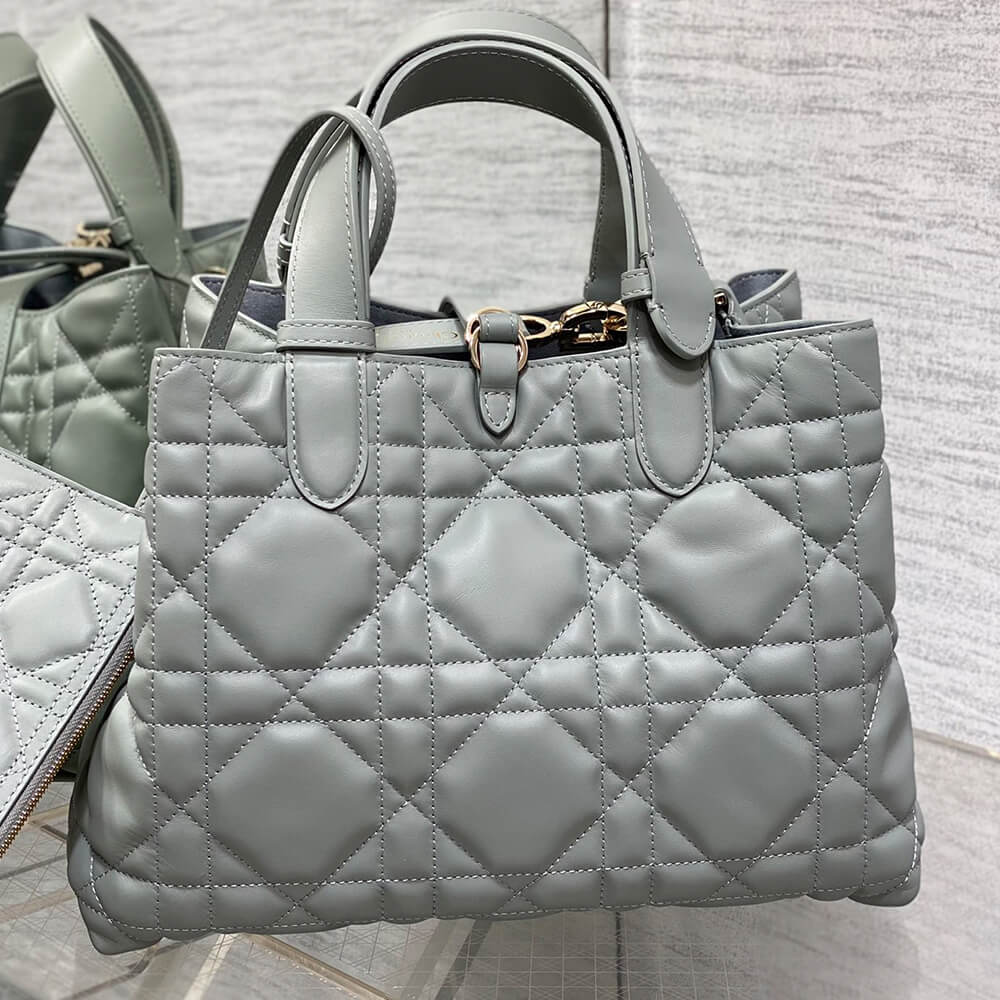medium D*or toujours bag