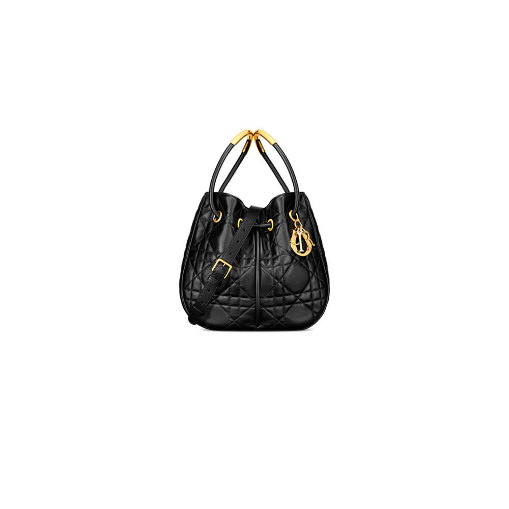 large D*or nolita bag