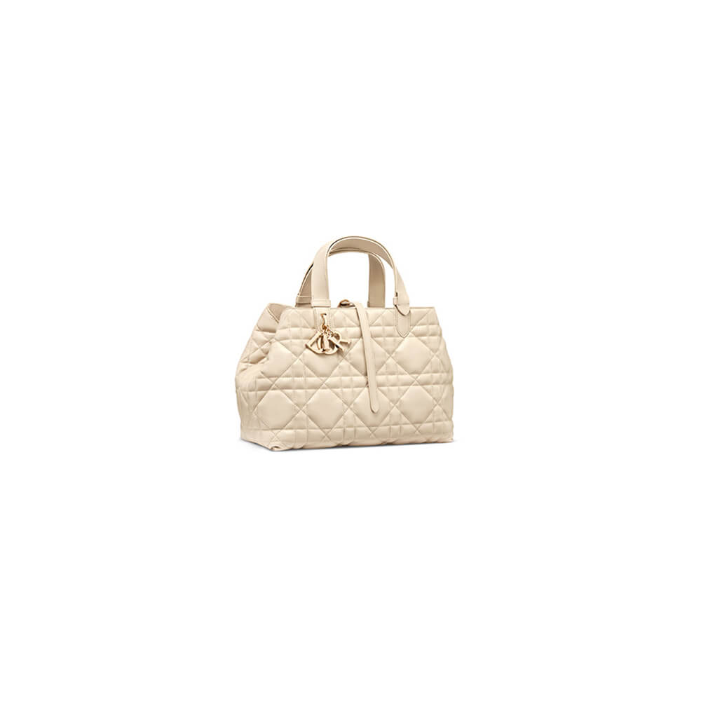 medium D*or toujours bag(high-end grade)