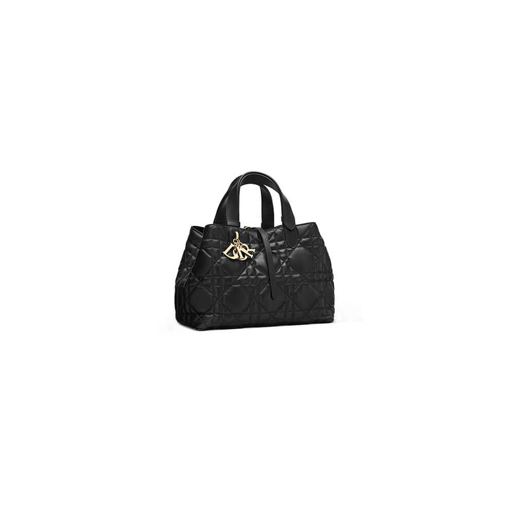 medium D*or toujours bag(high-end grade)