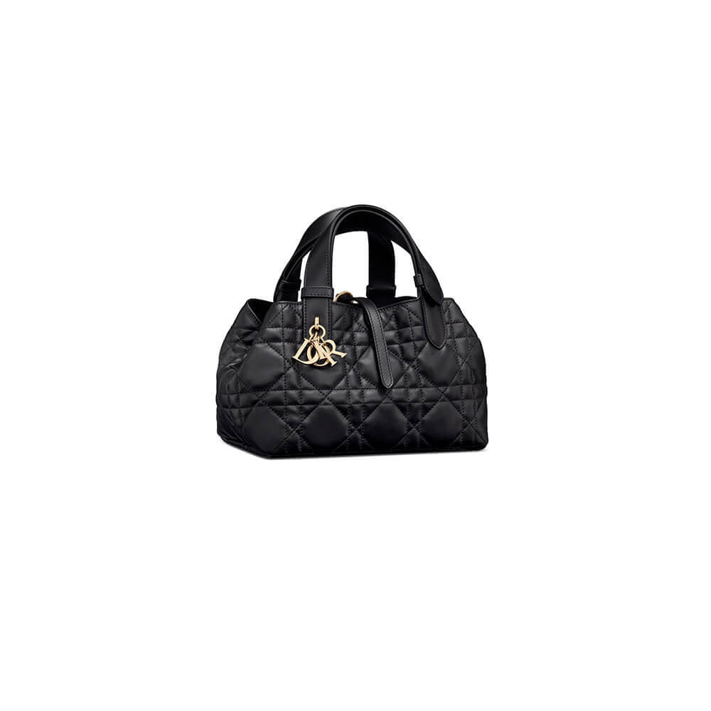 small D*or toujours bag(high-end grade)